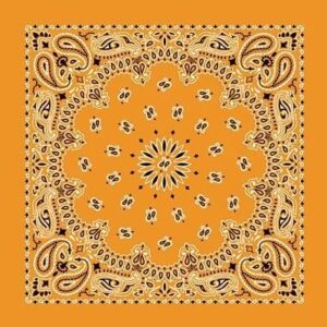 CM Western Paisley Bandanas in Bulk Imported 100% cotton