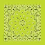 Western Paisley Bandana - Made in USA 100% Cotton