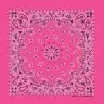 Western Paisley Bandana - Made in USA 100% Cotton