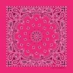 Western Paisley Bandana - Made in USA 100% Cotton