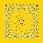 Western Paisley Bandana - Made in USA 100% Cotton