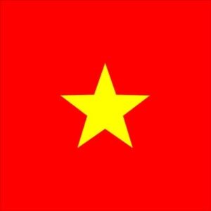 A red background features a large yellow five-pointed star centered in the middle representing the national flag of Vietnam often used in official contexts and symbolizing the country's identity and unity.