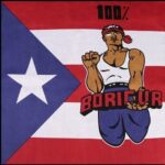 A muscular figure wearing a tank top and headband raises a fist  holding a sign that says BORICUA against a backdrop of the Puerto Rican flag with a blue Bandana triangle and white star. Text at the top reads 100%.