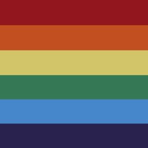 A horizontal flag with six alternating stripes in red orange yellow green blue and purple representing diversity and inclusivity displayed against a neutral background.