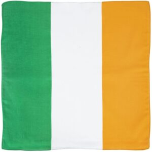 A rectangular flag displays three vertical stripes in green white and orange representing Ireland with the green stripe on the left white in the center and orange on the right.