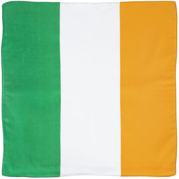 A rectangular flag displays three vertical stripes in green white and orange representing Ireland with the green stripe on the left white in the center and orange on the right.