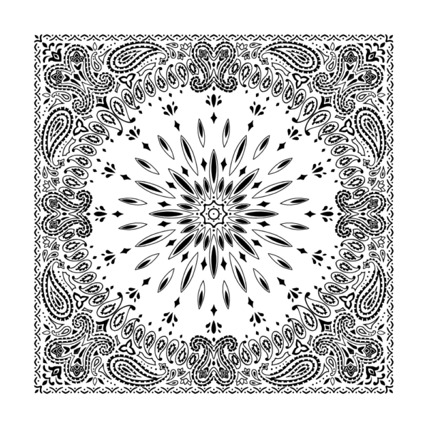 A symmetrical black and white bandana pattern features intricate paisley designs radiating from a central starburst shape surrounded by a decorative border creating a harmonious visual effect.
