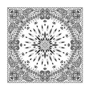 A square pattern features intricate black paisley designs radiating outward from a central starburst. The background is white  enhancing the contrast of the decorative motifs surrounding the central image.