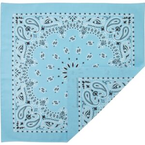 A light blue bandana features intricate paisley patterns and star motifs in black and white. The fabric is folded diagonally revealing part of the design in a vibrant display.