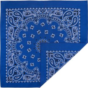 A blue bandana displays intricate white paisley designs and floral patterns in a symmetrical arrangement with a contrasting border creating a vibrant textile accessory suitable for various uses.