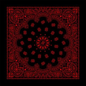 A square black fabric displays intricate red paisley patterns along the edges and in a central floral design creating a vibrant decorative effect suitable for various artistic uses.