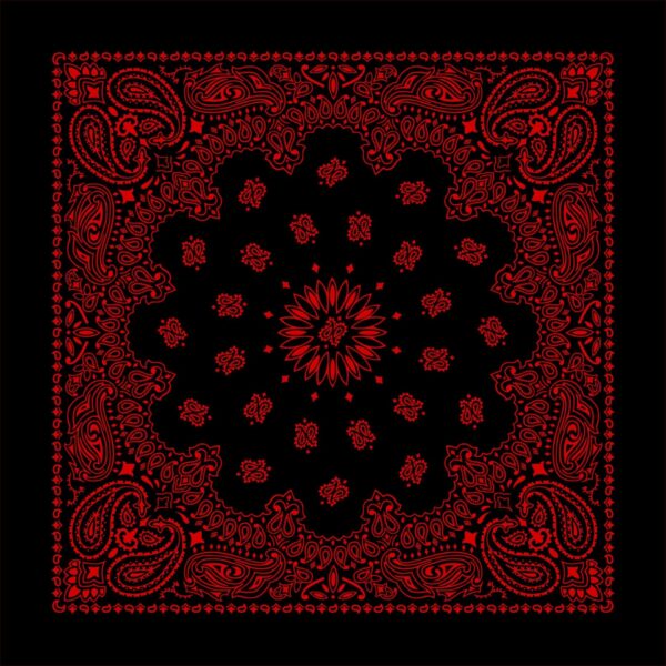 A square black fabric displays intricate red paisley patterns along the edges and in a central floral design creating a vibrant decorative effect suitable for various artistic uses.