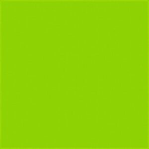 A solid bright green surface fills the space creating a vibrant and uniform background that suggests a playful or lively atmosphere without any additional objects or details present.