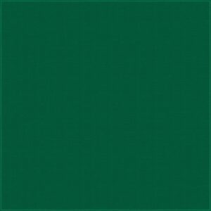 A solid green background occupies the entire view with a subtle textured pattern creating a uniform appearance likely used for design or decorative purposes in a simple context.