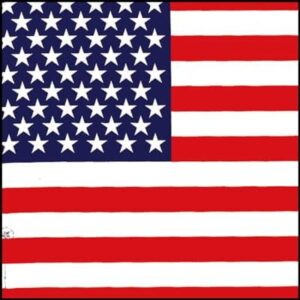 A rectangular flag displays red and white stripes with a blue rectangle in the upper left corner filled with white stars  representing the United States of America.