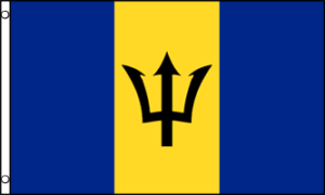 A flag features three vertical sections with blue on the outer edges and a central yellow band carrying a black trident head symbolizing Barbados's national identity and maritime heritage.